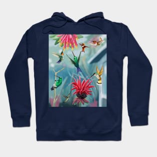 Hummingbird Feeder Frenzy Hoodie